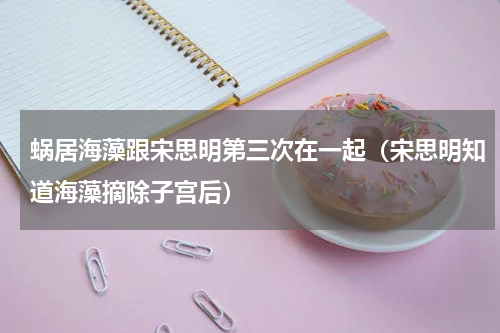 蜗居海藻跟宋思明第三次在一起（宋思明知道海藻摘除子宫后）