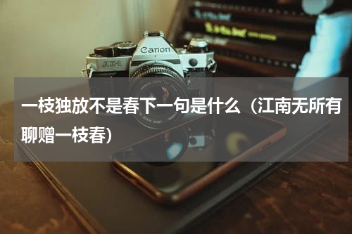 一枝独放不是春下一句是什么（江南无所有聊赠一枝春）
