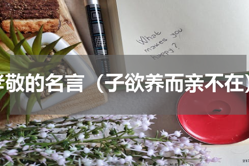 孝敬的名言（子欲养而亲不在）