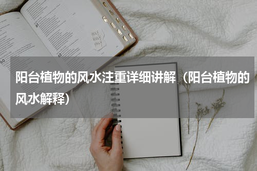 阳台植物的风水注重详细讲解（阳台植物的风水解释）