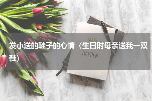 发小送的鞋子的心情（生日时母亲送我一双鞋）
