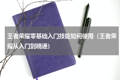 王者荣耀零基础入门技能如何使用（王者荣耀从入门到精通）