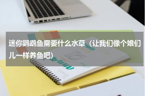 迷你鹦鹉鱼需要什么水草（让我们像个娘们儿一样养鱼吧）