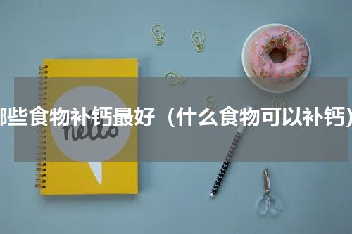 哪些食物补钙最好（什么食物可以补钙）