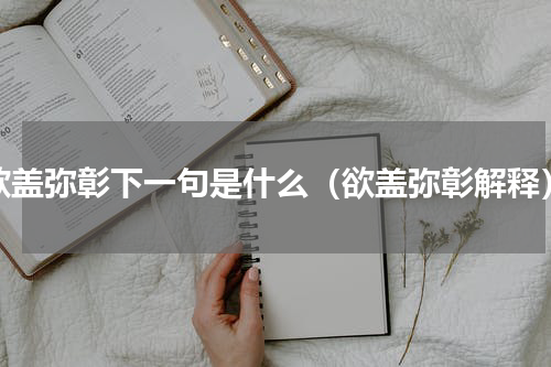 欲盖弥彰下一句是什么（欲盖弥彰解释）