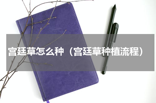 宫廷草怎么种（宫廷草种植流程）