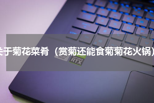 关于菊花菜肴（赏菊还能食菊菊花火锅）