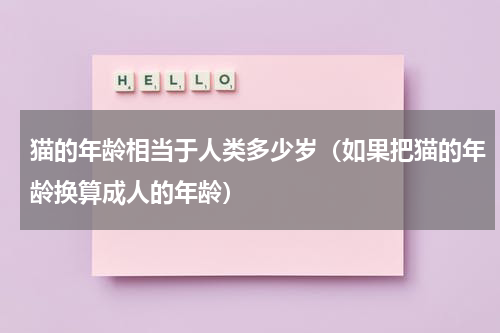 猫的年龄相当于人类多少岁（如果把猫的年龄换算成人的年龄）