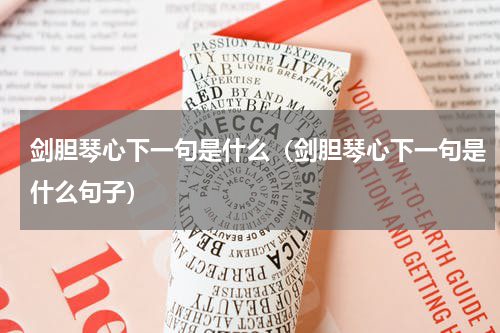 剑胆琴心下一句是什么（剑胆琴心下一句是什么句子）