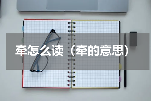 牵怎么读（牵的意思）
