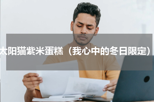 太阳猫紫米蛋糕（我心中的冬日限定）