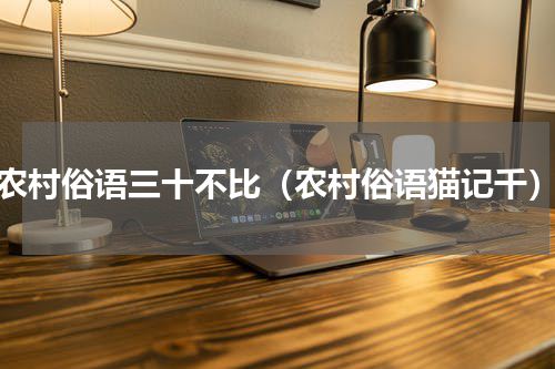 农村俗语三十不比（农村俗语猫记千）