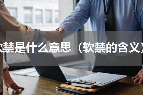 软禁是什么意思（软禁的含义）