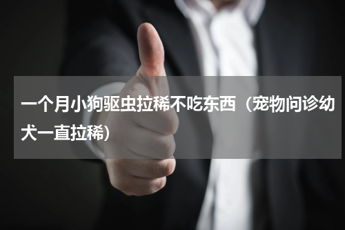 一个月小狗驱虫拉稀不吃东西（宠物问诊幼犬一直拉稀）