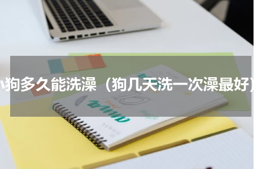 小狗多久能洗澡（狗几天洗一次澡最好）