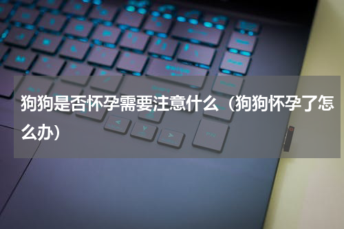 狗狗是否怀孕需要注意什么（狗狗怀孕了怎么办）