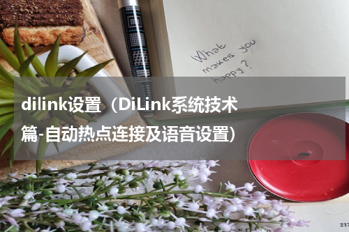 dilink设置（DiLink系统技术篇-自动热点连接及语音设置）