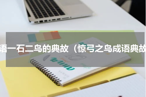 成语一石二鸟的典故（惊弓之鸟成语典故）
