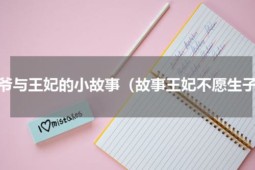 王爷与王妃的小故事（故事王妃不愿生子）