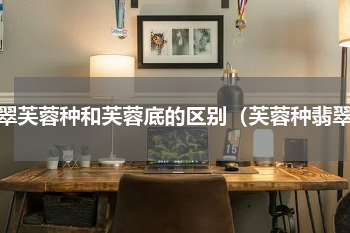 翡翠芙蓉种和芙蓉底的区别（芙蓉种翡翠）