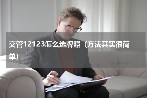 交管12123怎么选牌照（方法其实很简单）