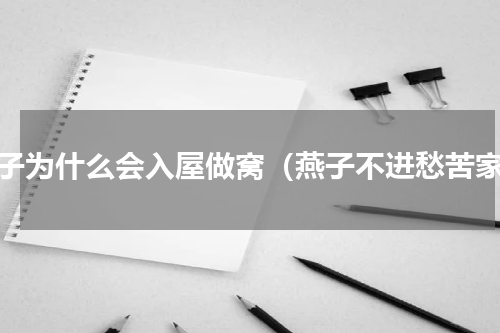 燕子为什么会入屋做窝（燕子不进愁苦家）