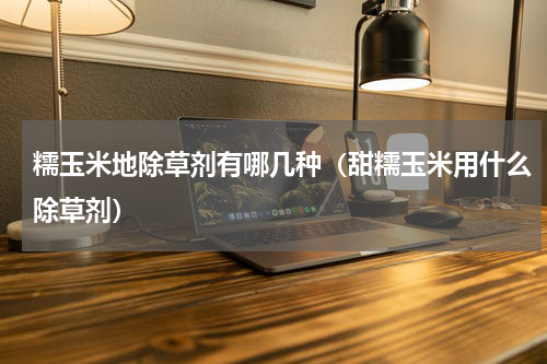 糯玉米地除草剂有哪几种（甜糯玉米用什么除草剂）