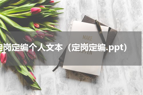 定岗定编个人文本（定岗定编.ppt）