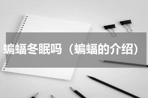 蝙蝠冬眠吗（蝙蝠的介绍）