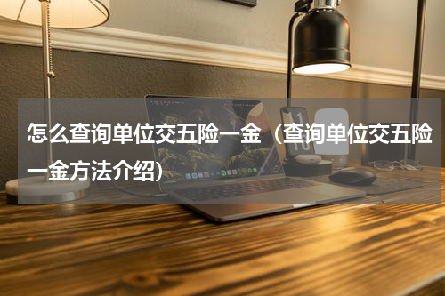 怎么查询单位交五险一金（查询单位交五险一金方法介绍）