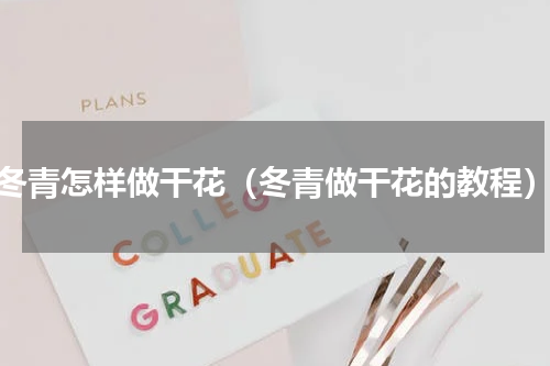 冬青怎样做干花（冬青做干花的教程）