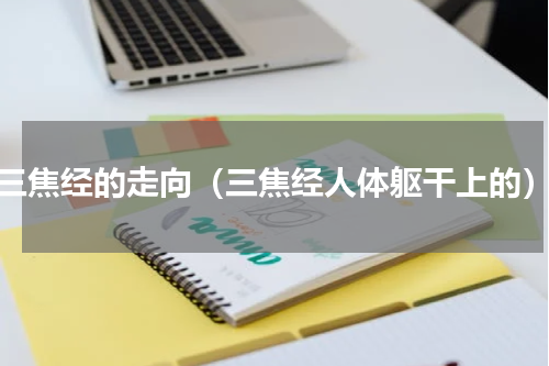 三焦经的走向（三焦经人体躯干上的）