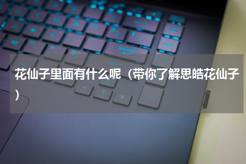花仙子里面有什么呢（带你了解思皓花仙子）