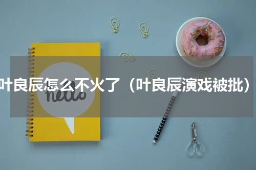 叶良辰怎么不火了（叶良辰演戏被批）