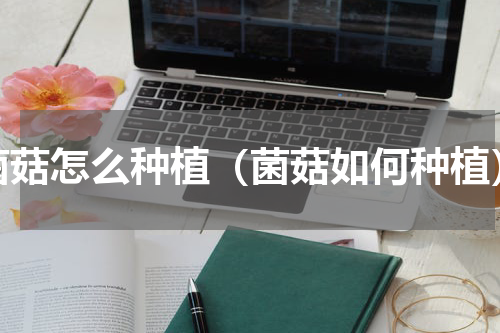 菌菇怎么种植（菌菇如何种植）