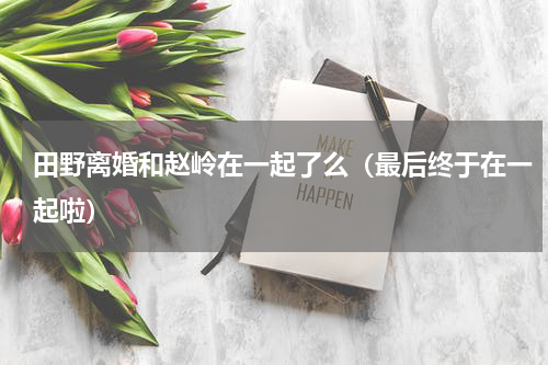 田野离婚和赵岭在一起了么（最后终于在一起啦）