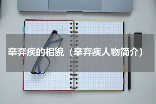辛弃疾的相貌（辛弃疾人物简介）