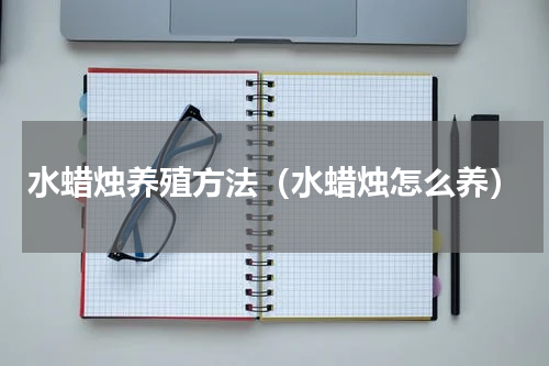 水蜡烛养殖方法（水蜡烛怎么养）