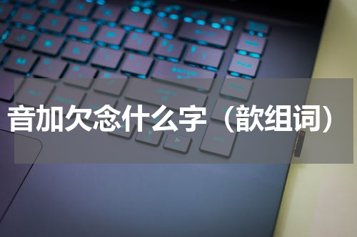 音加欠念什么字（歆组词）