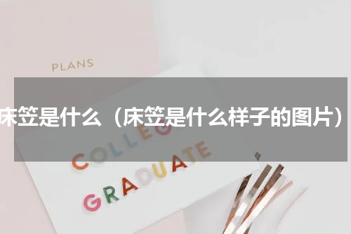 床笠是什么（床笠是什么样子的图片）