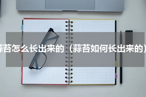 蒜苔怎么长出来的（蒜苔如何长出来的）