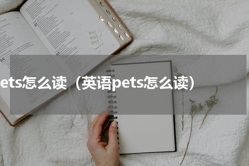 pets怎么读（英语pets怎么读）