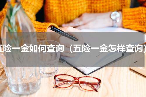 五险一金如何查询（五险一金怎样查询）