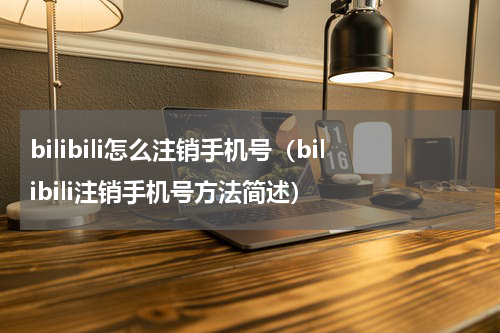 bilibili怎么注销手机号（bilibili注销手机号方法简述）