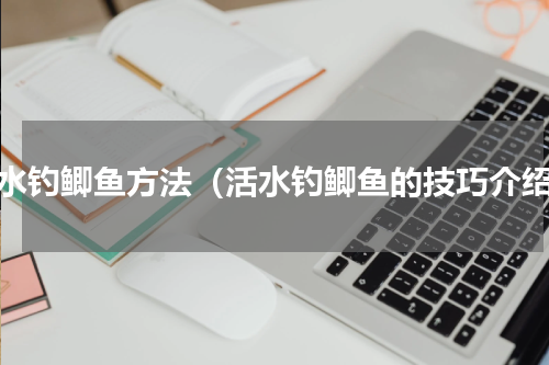 活水钓鲫鱼方法（活水钓鲫鱼的技巧介绍）