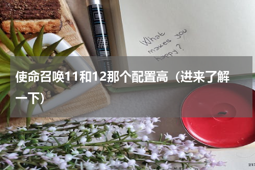 使命召唤11和12那个配置高（进来了解一下）