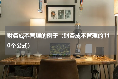 财务成本管理的例子（财务成本管理的110个公式）