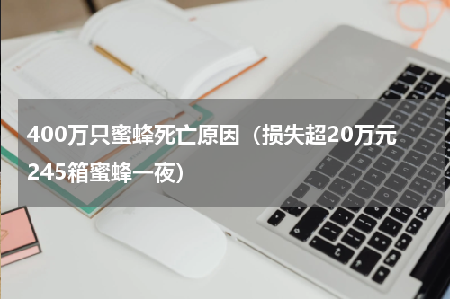 400万只蜜蜂死亡原因（损失超20万元245箱蜜蜂一夜）