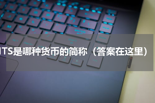 NTS是哪种货币的简称（答案在这里）