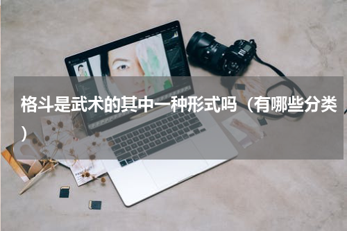 格斗是武术的其中一种形式吗（有哪些分类）